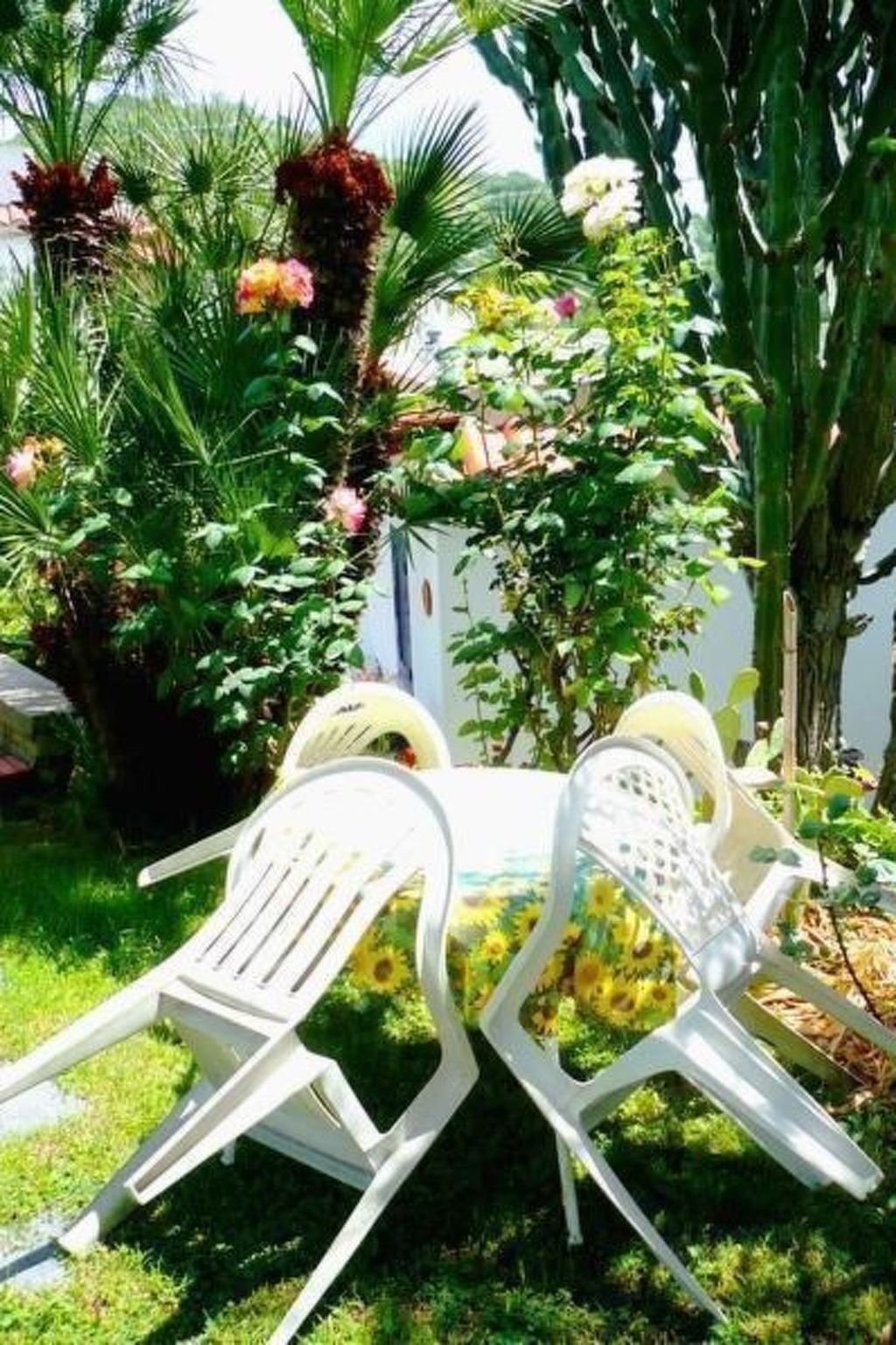 Appartement La Terrazza avec terrasse à Ischia - Photo 18
