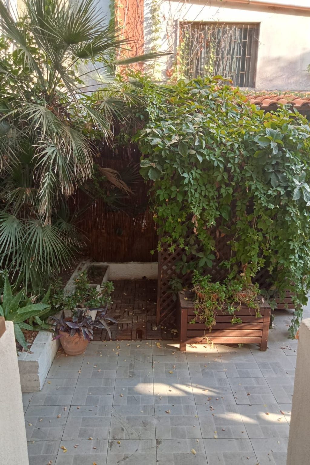 Villa 3 chambres avec piscine à 10 m de la plage - Photo 3