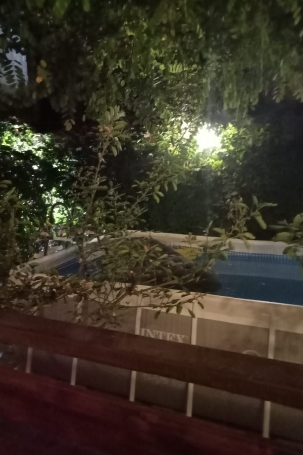 Villa 3 chambres avec piscine à 10 m de la plage - Photo 14