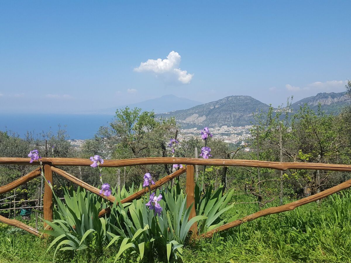 Appartement ferme avec vue sur le golfe de Naples - Photo 13