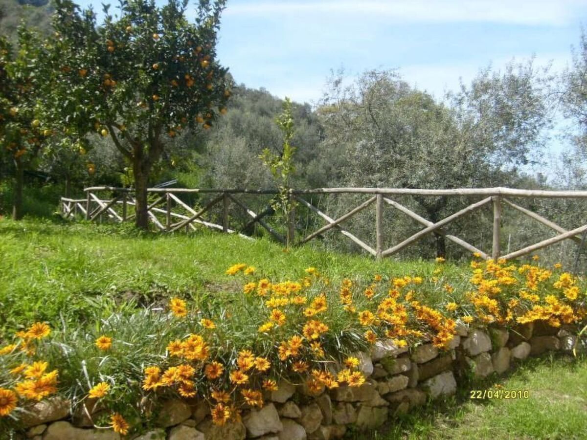 Studio avec vue sur le Golfe de Naples à Colli Fontanelle - Photo 9