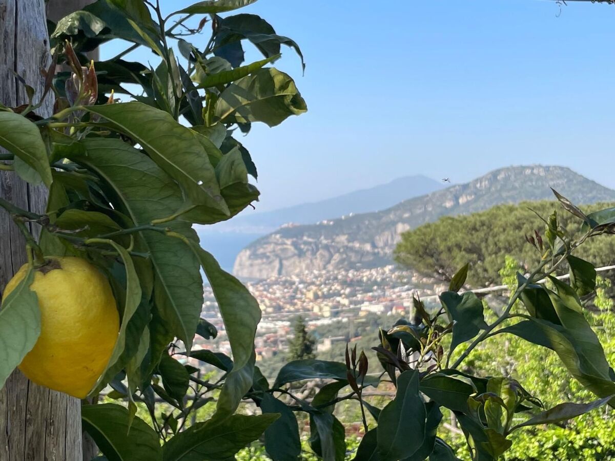 Villa Flore : maison 8 pers. vue golfe de Naples - Photo 12