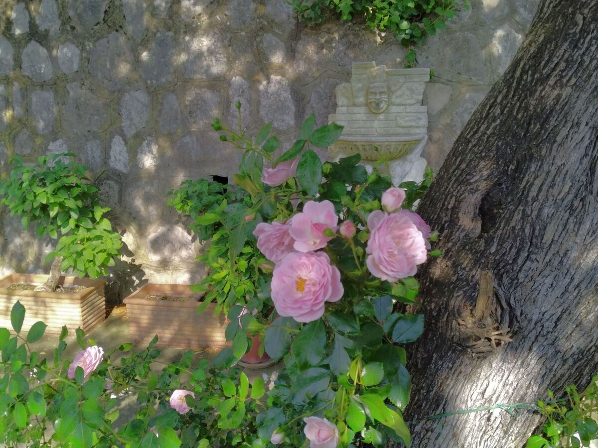 Villa l'Ulivina - Maison 3 chambres, jardin et terrasse - Photo 20