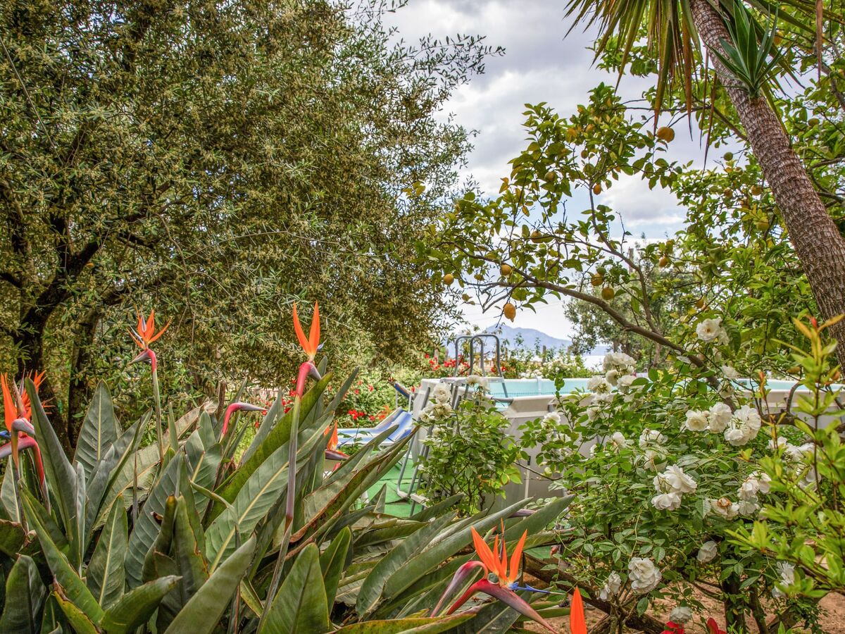Maison Sonnenstrahl avec piscine vue Capri - Photo 13