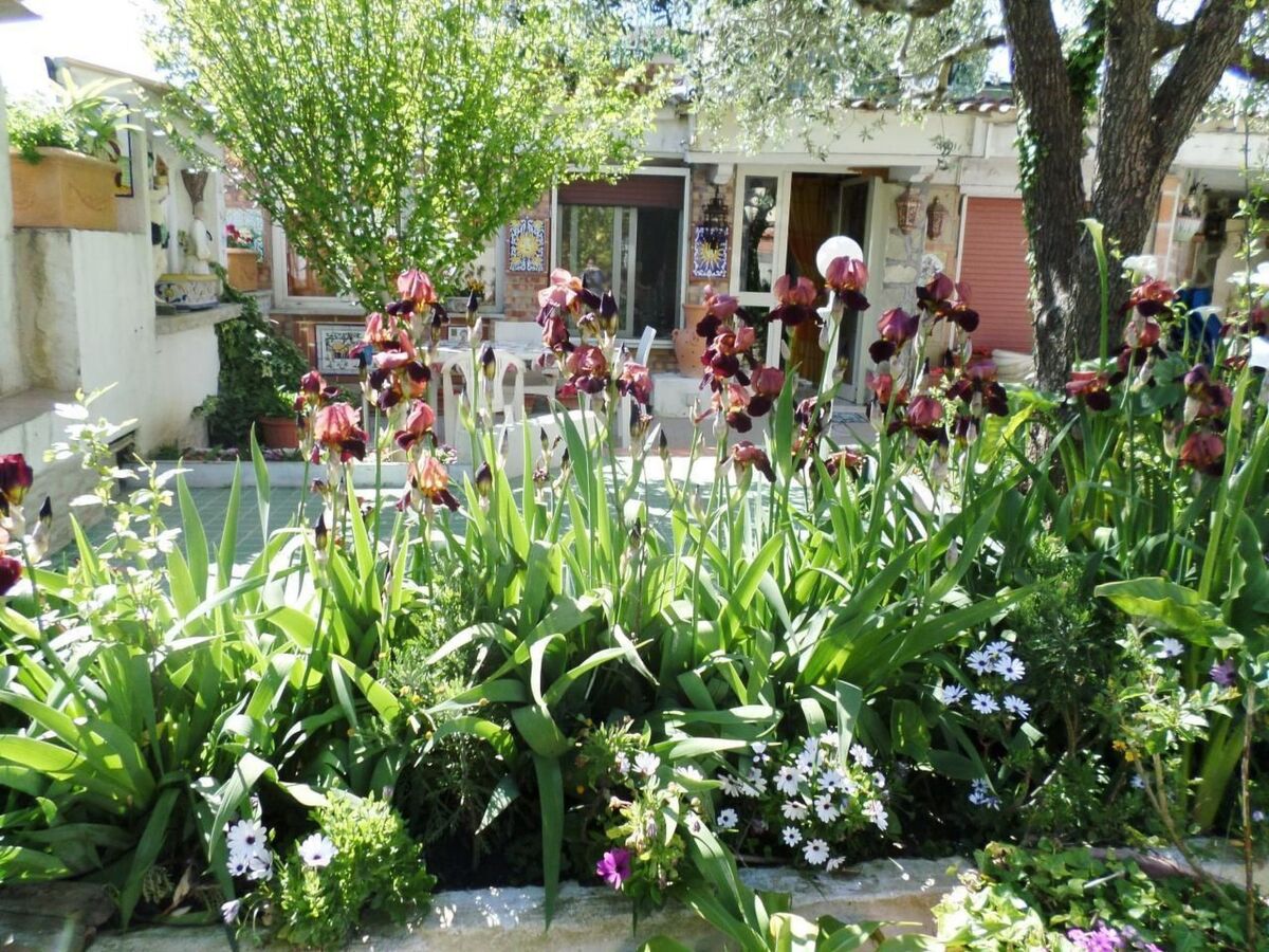 Il Casolare di Cleopatra e Marcantonio, Massa Lubrense - Photo 33