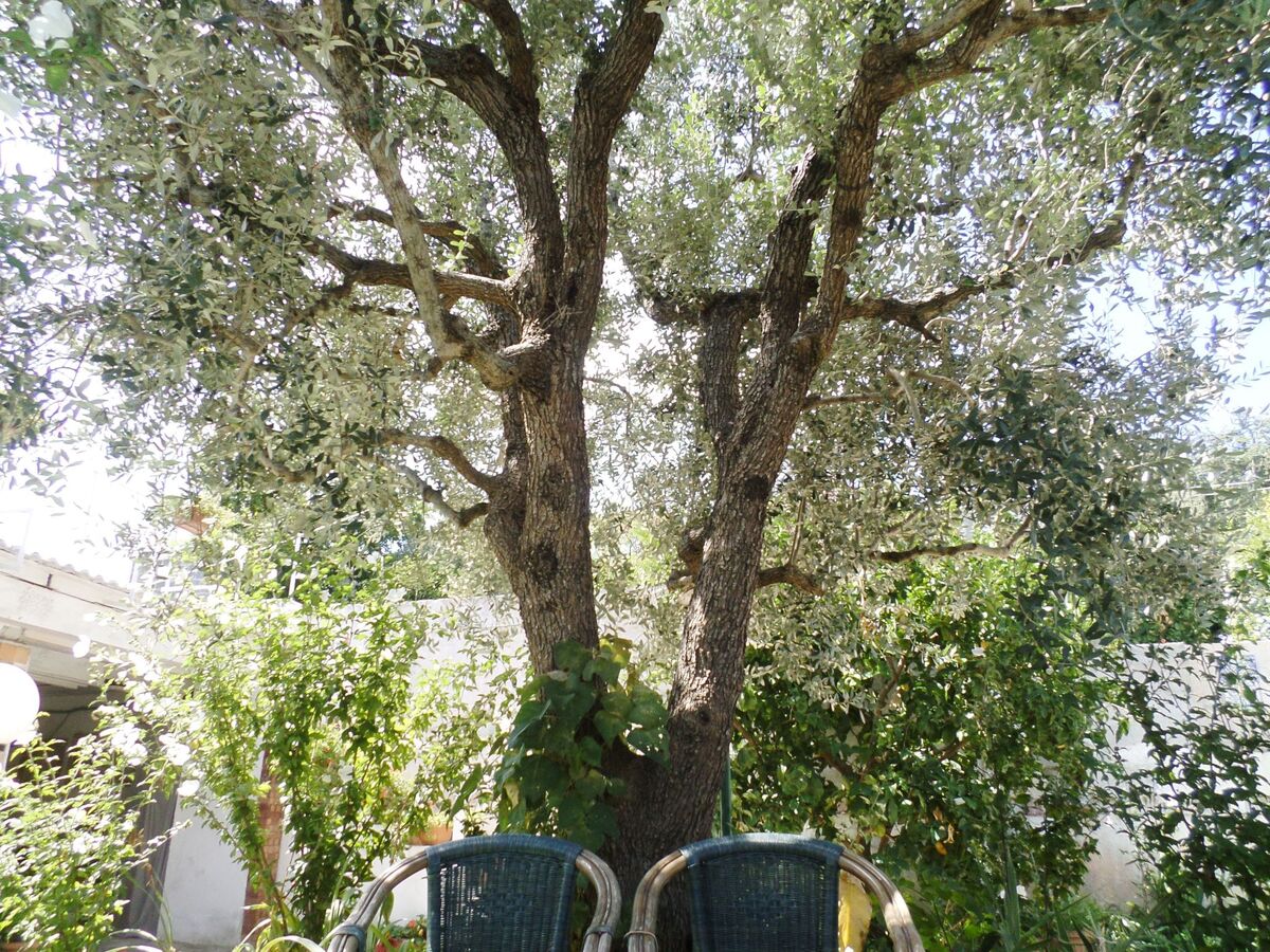 Il Casolare di Cleopatra e Marcantonio, Massa Lubrense - Photo 49
