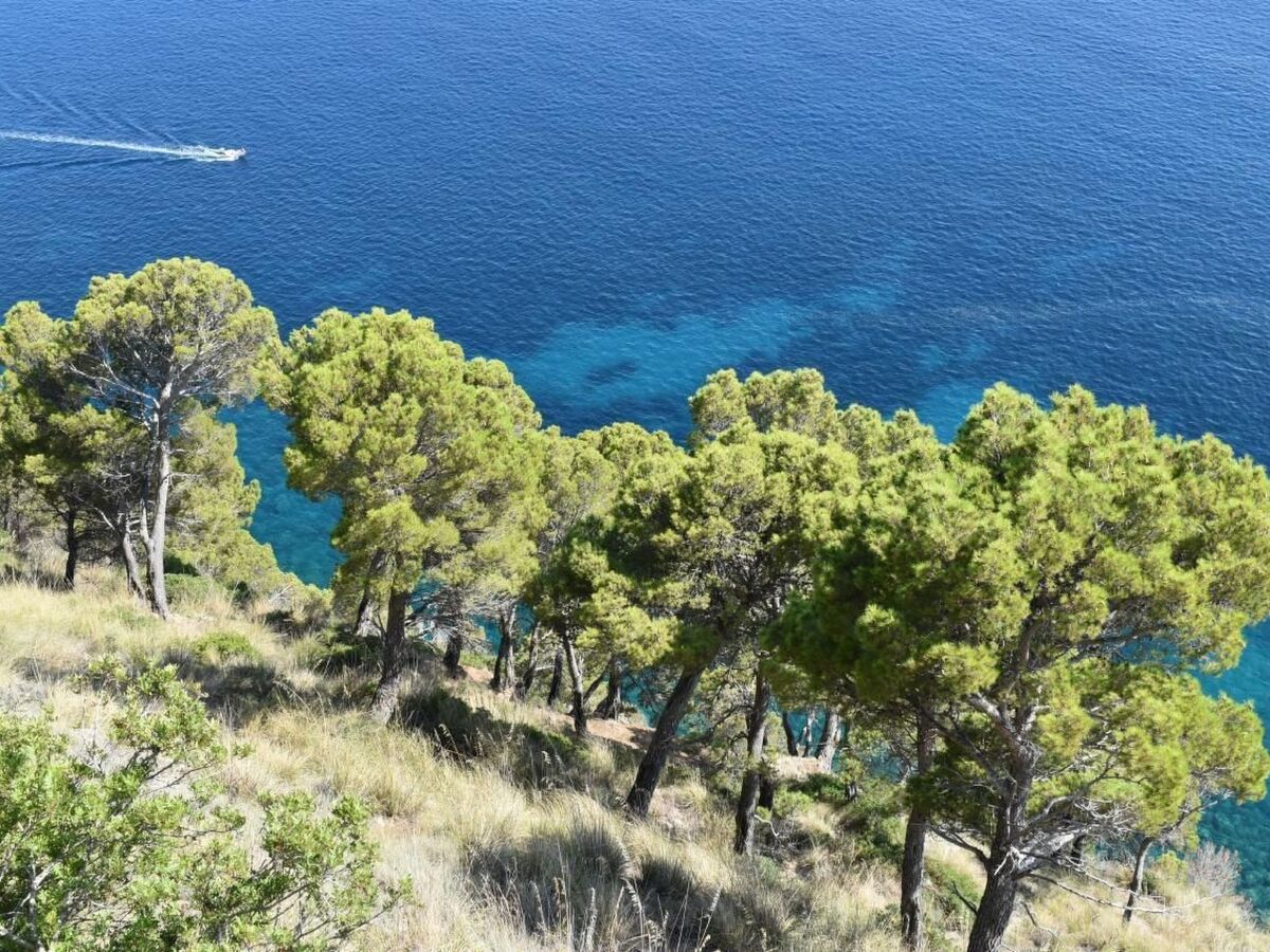 Casa Pineta : appartement 4 pers. vue mer à Montecorice - Photo 25