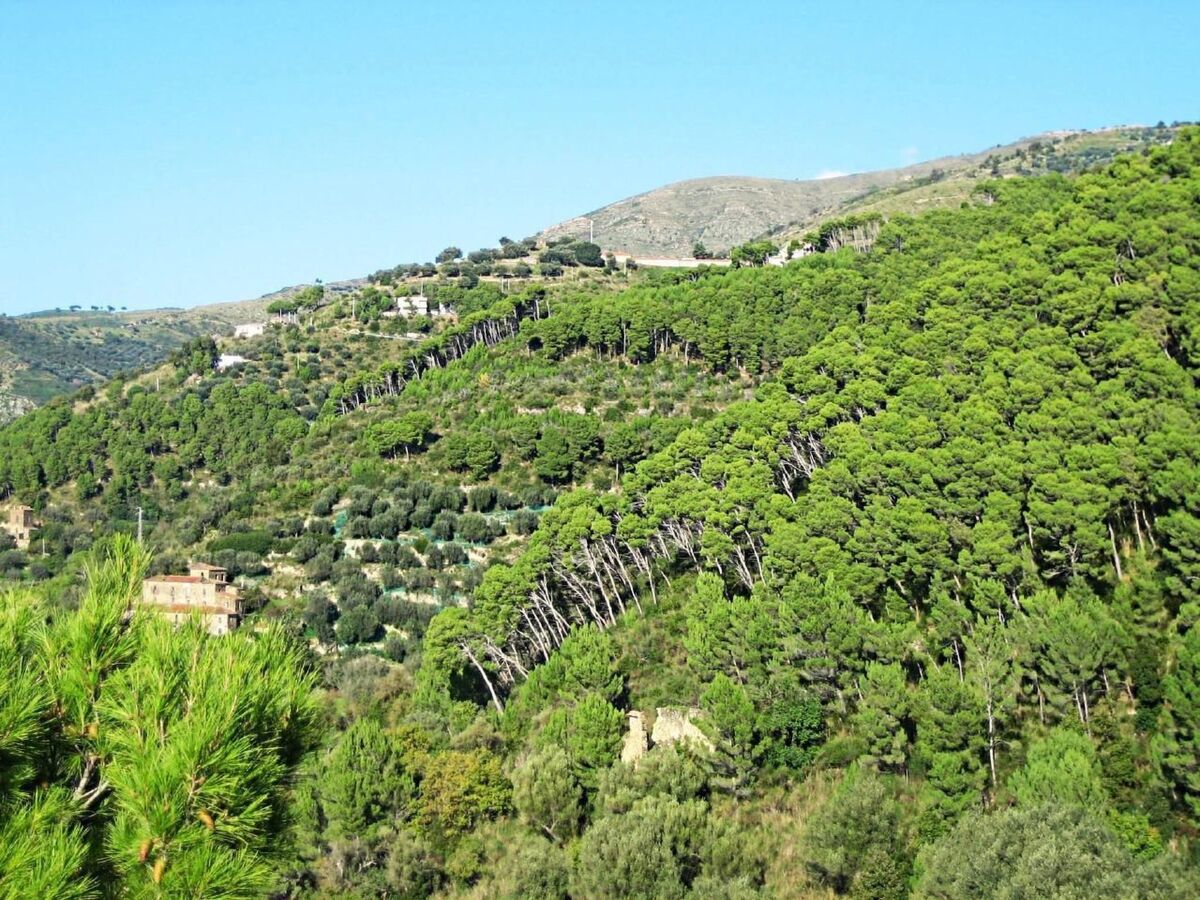 Casa Pineta : appartement 4 pers. vue mer à Montecorice - Photo 28