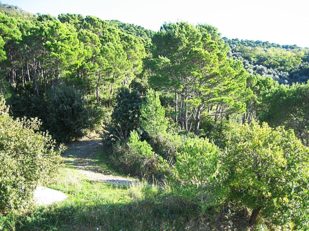 Casa Pineta, appartement 4 pers. avec vue mer à Montecorice - Photo 42