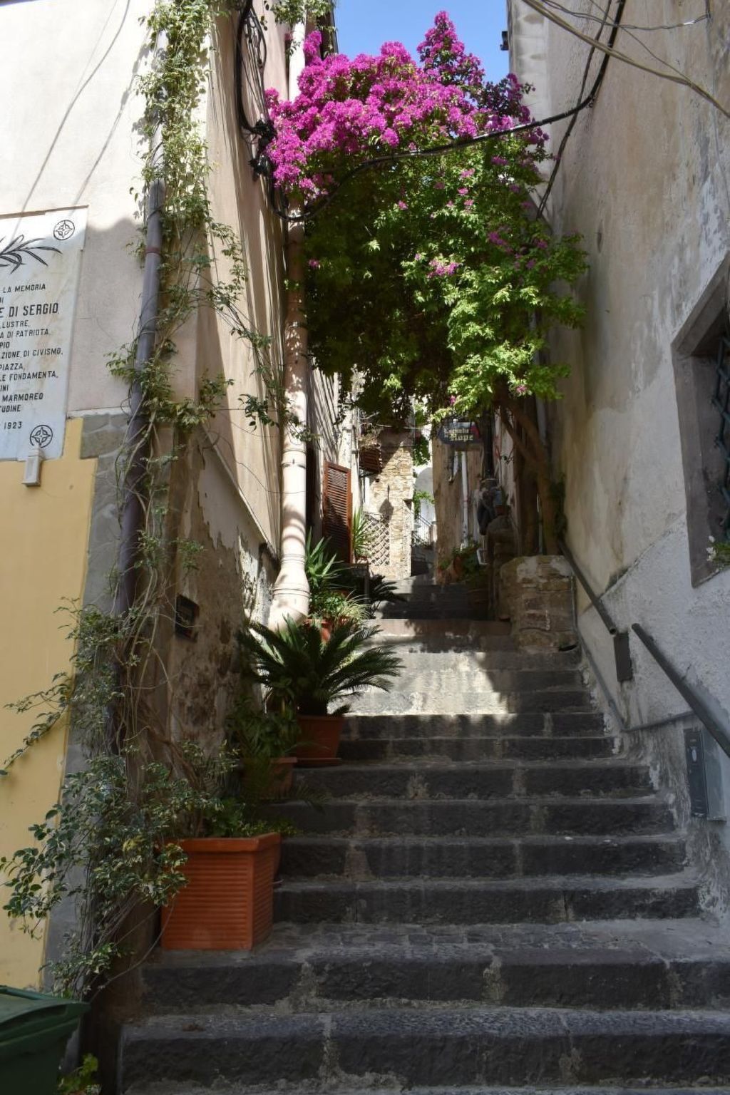 Casa Pineta, appartement 4 pers. avec vue mer à Montecorice - Photo 44