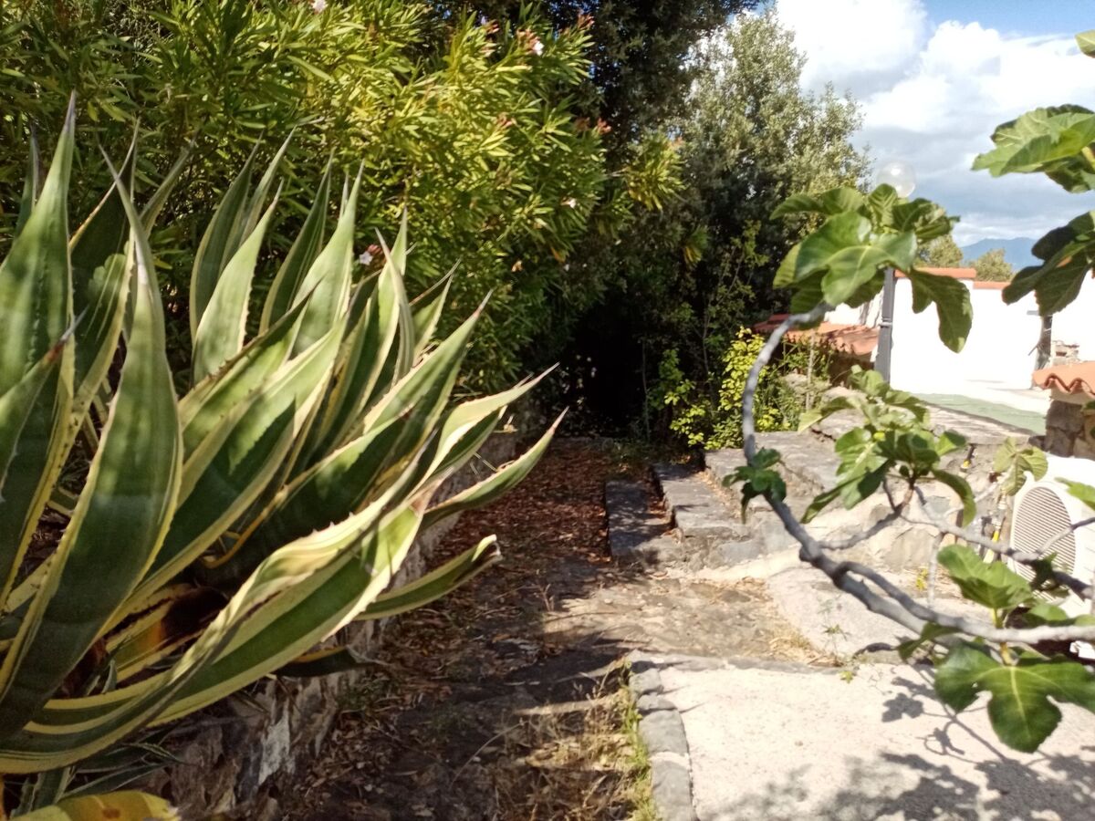 Haus Elena – Maison vue mer à Ascea Marina - Photo 29