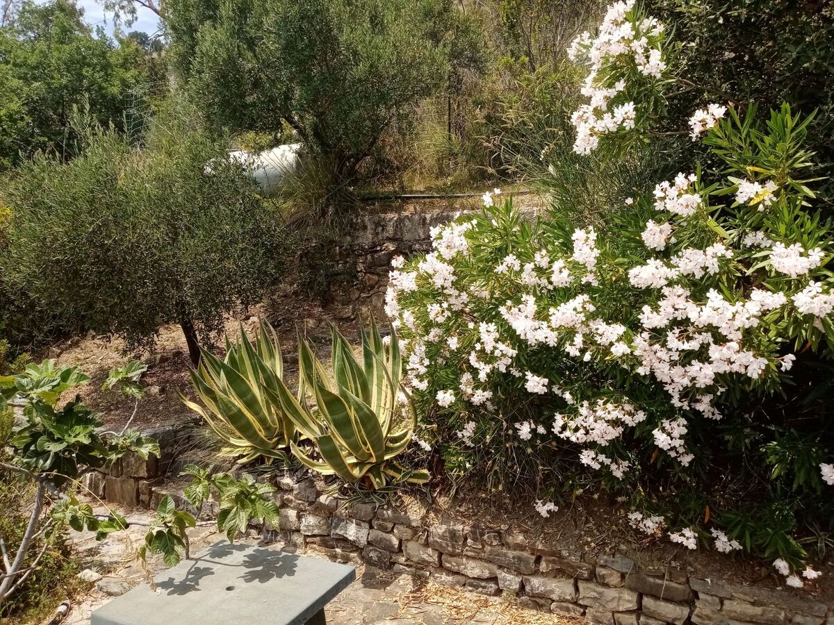 Haus Elena – Maison vue mer à Ascea Marina - Photo 36
