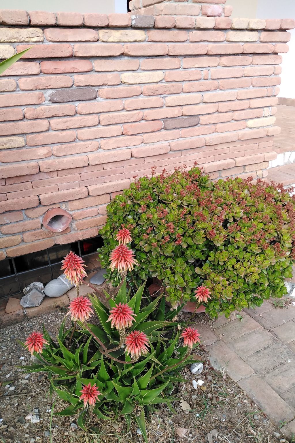 Appartement Cilento, vue Palinuro, jardin et terrasse - Photo 35