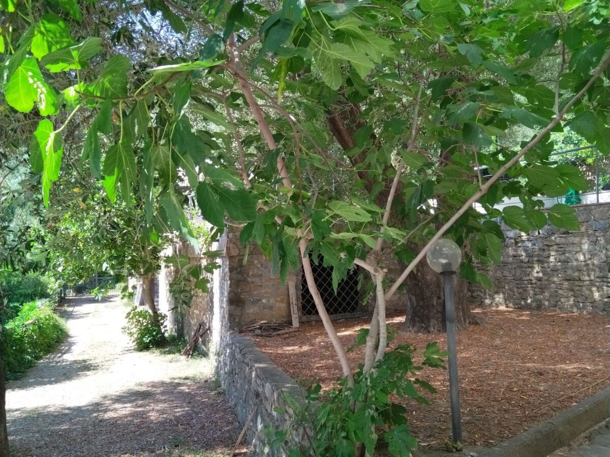 Villa Cécile App. 1 : 11 pers., jardin & grill - Photo 35