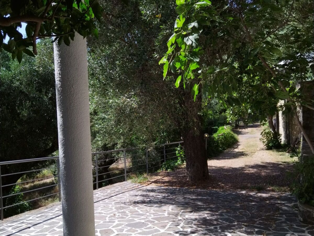Villa Cécile App. 1 : 11 pers., jardin & grill - Photo 36