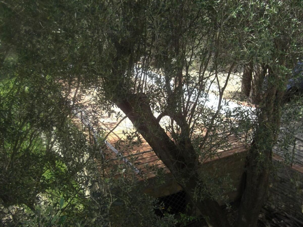 Appartement 4 pers. Pisciotta, jardin et terrasse mer - Photo 28