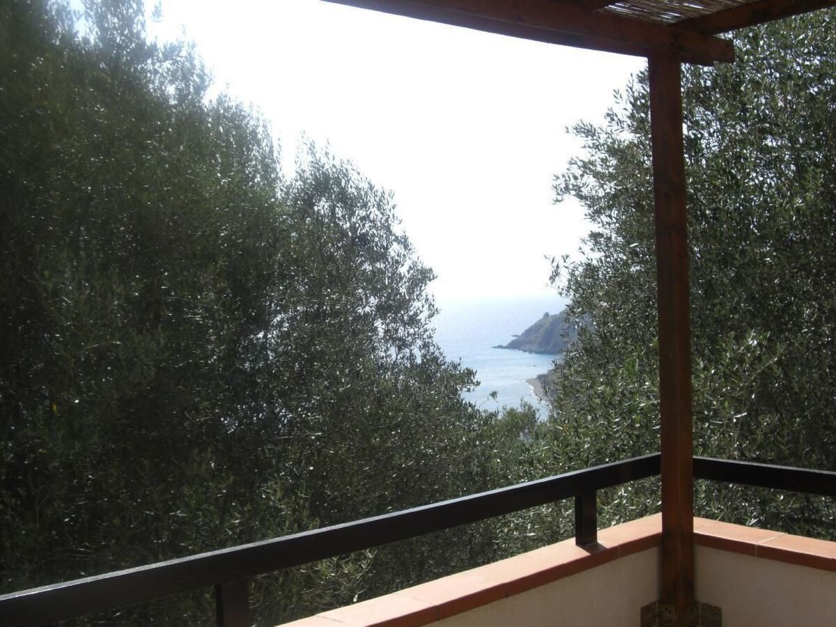 Appartement 4 pers. Pisciotta, jardin et terrasse mer - Photo 32