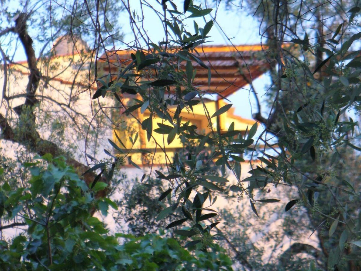 Appartement 4 pers. Pisciotta, jardin et terrasse mer - Photo 35