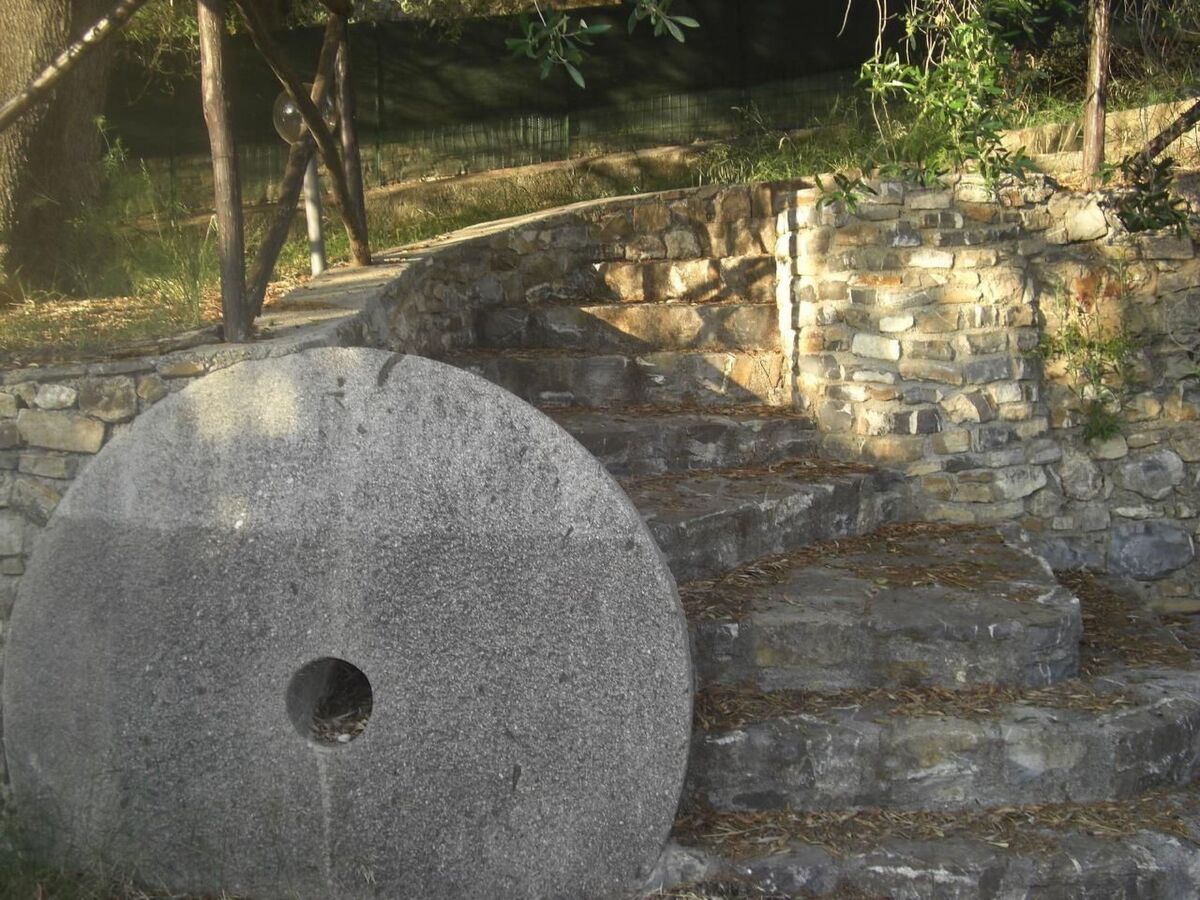 Appartement 4 pers. Pisciotta, jardin et terrasse mer - Photo 42