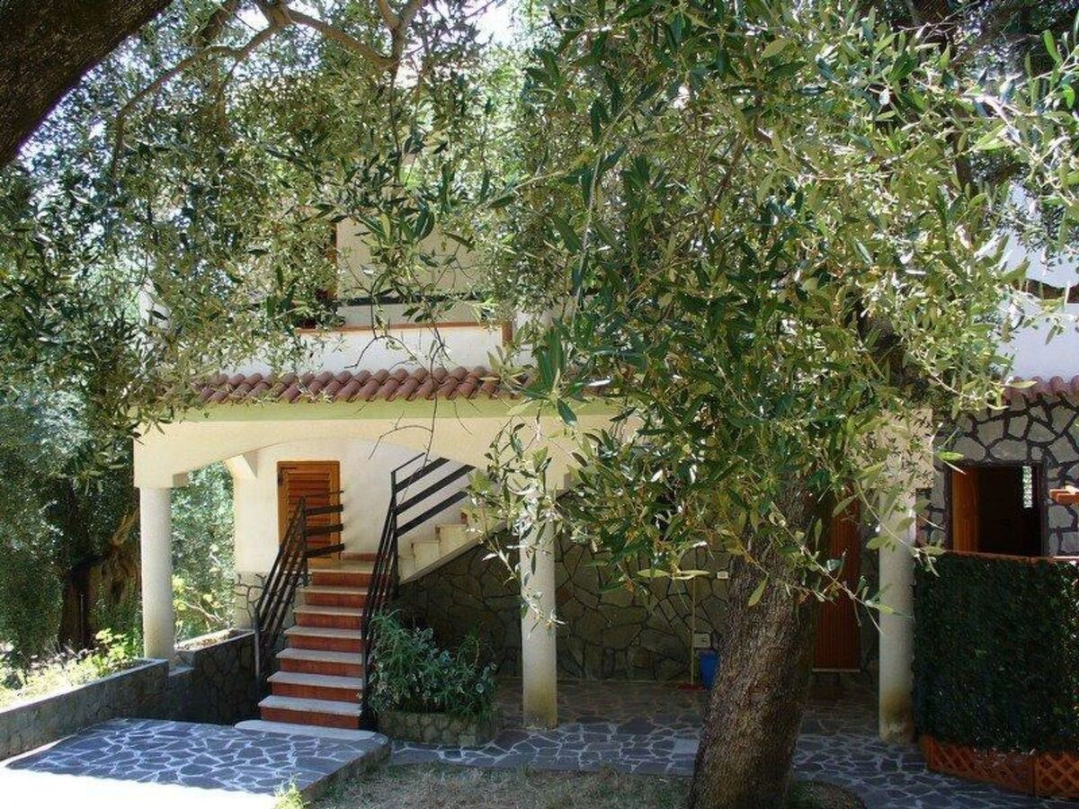 Appartement 4 pers. Pisciotta, jardin et terrasse mer - Photo 49