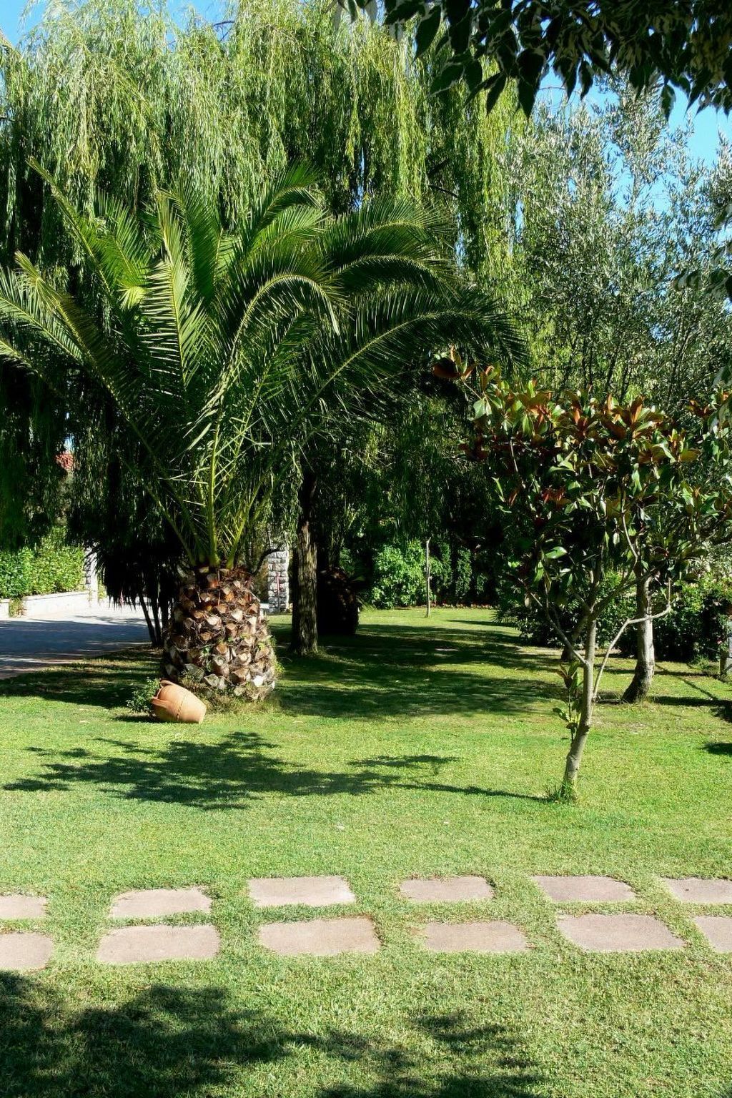 Appartement Centola avec terrasse, grill et piscine - Photo 10