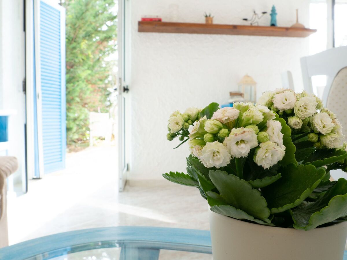 Villa Saline, maison en bord de mer à Centola - Photo 12