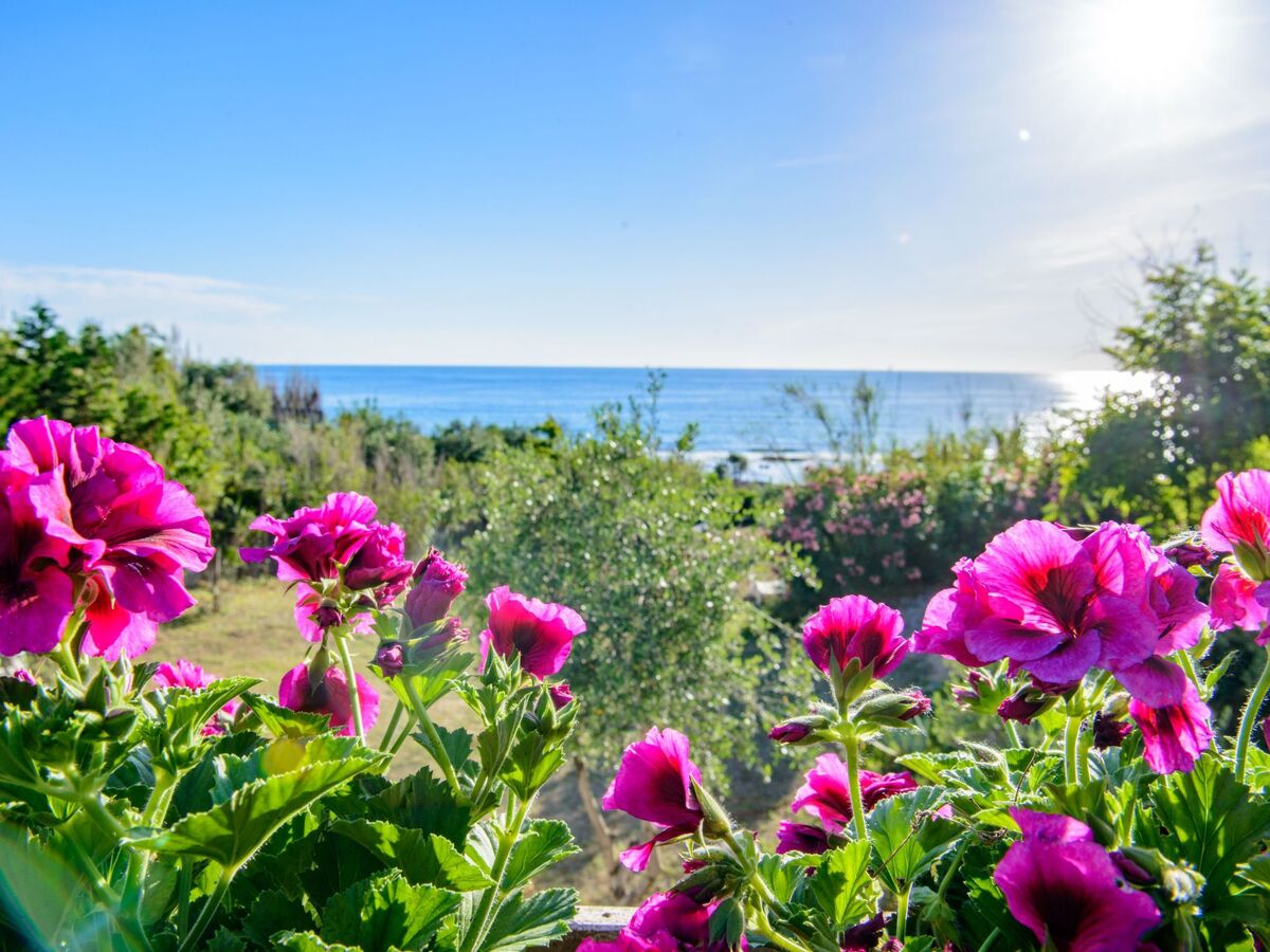 Villa Saline, maison en bord de mer à Centola - Photo 32