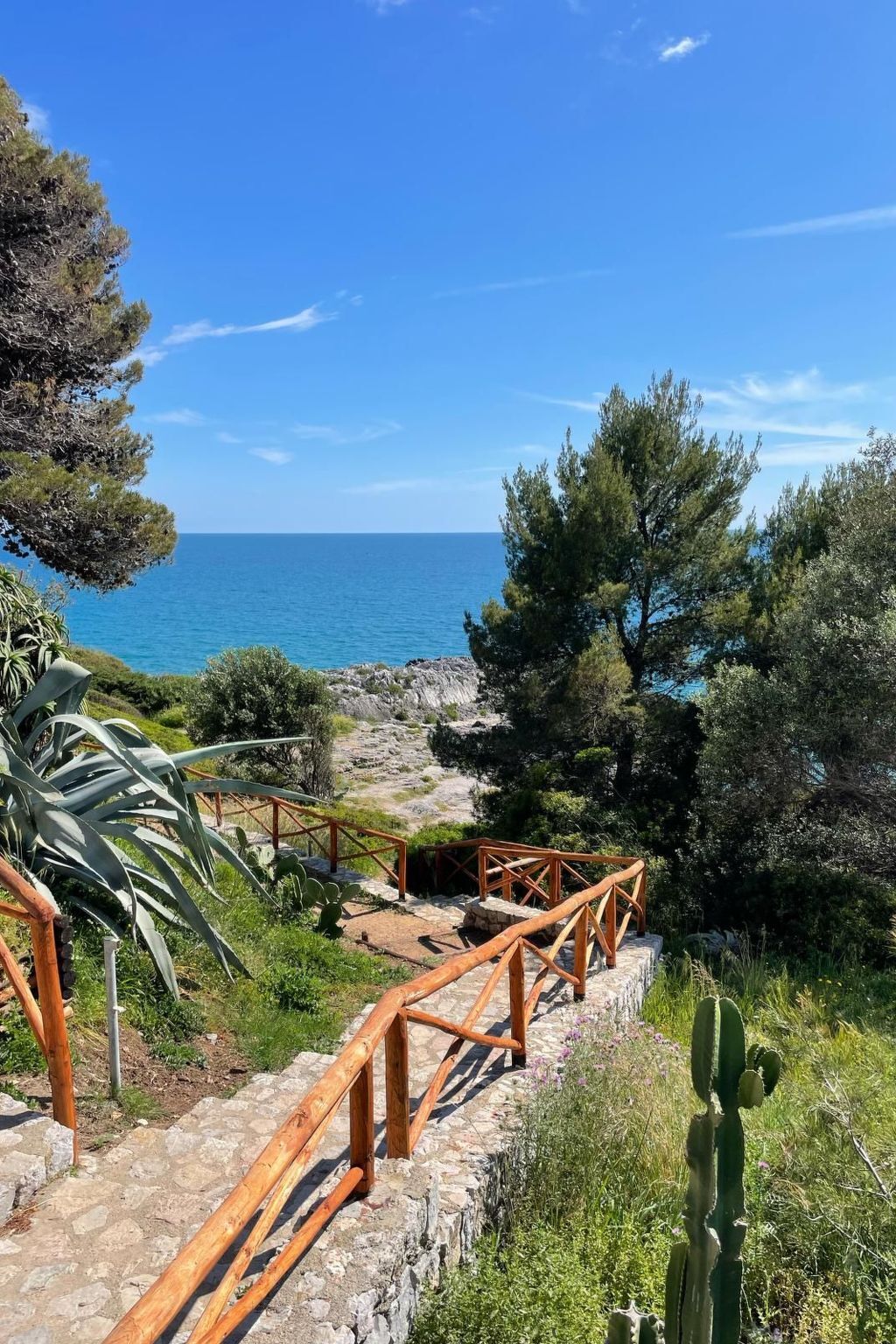 Studio Piccolo Amore à 150 m de la mer, Marina di Camerota - Photo 5