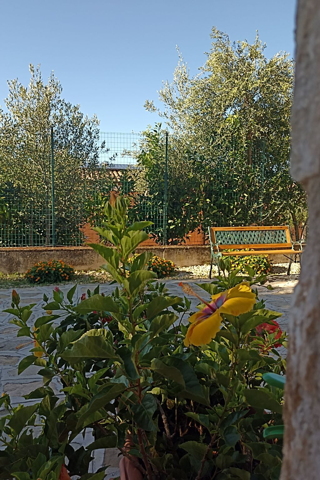 Case Cilento Mare – Appartement 2 pers. à 700 m de la plage - Photo 13
