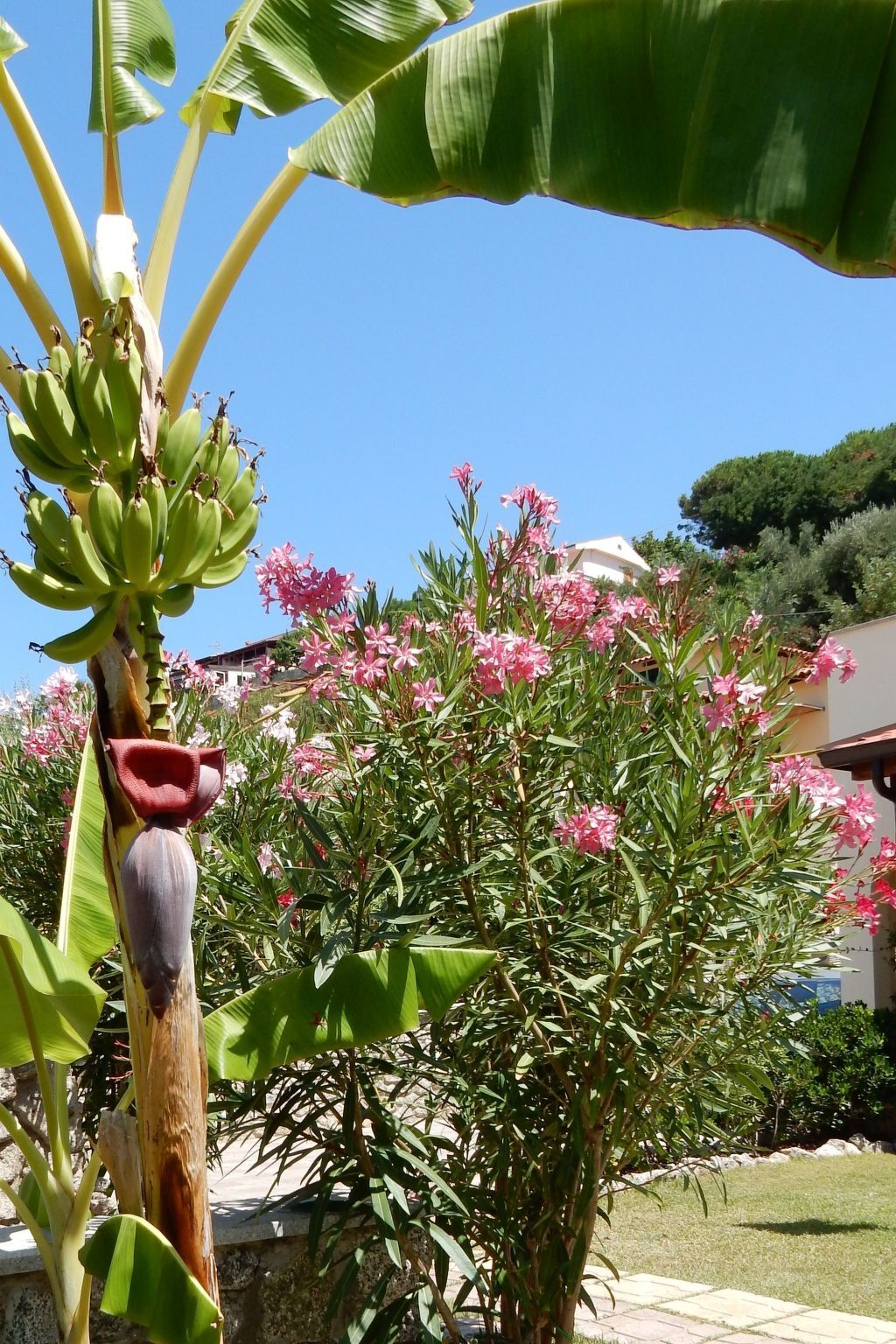 LeCasetteSulMare – Appartement face à la mer à Capo Vaticano - Photo 23