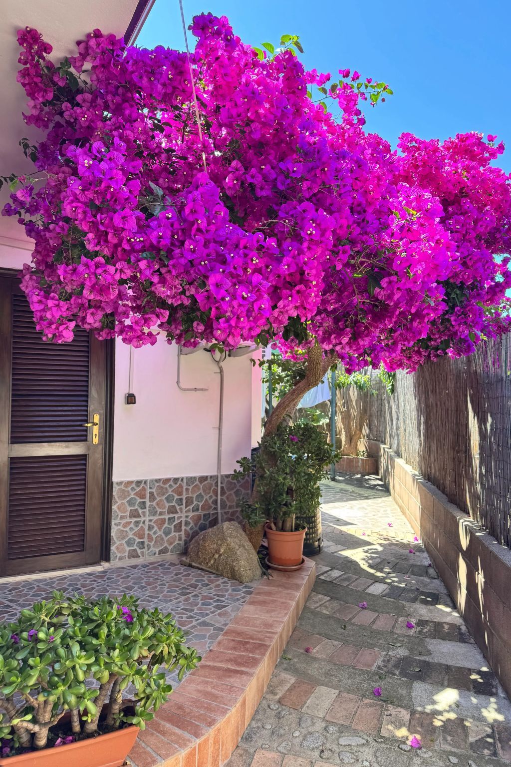 Chambre double à 380 m de la plage de Riaci, Capo Vaticano - Photo 1