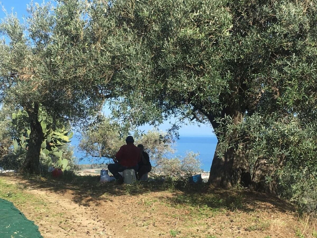 Studio avec terrasse et vue mer à Badolato Marina - Photo 40