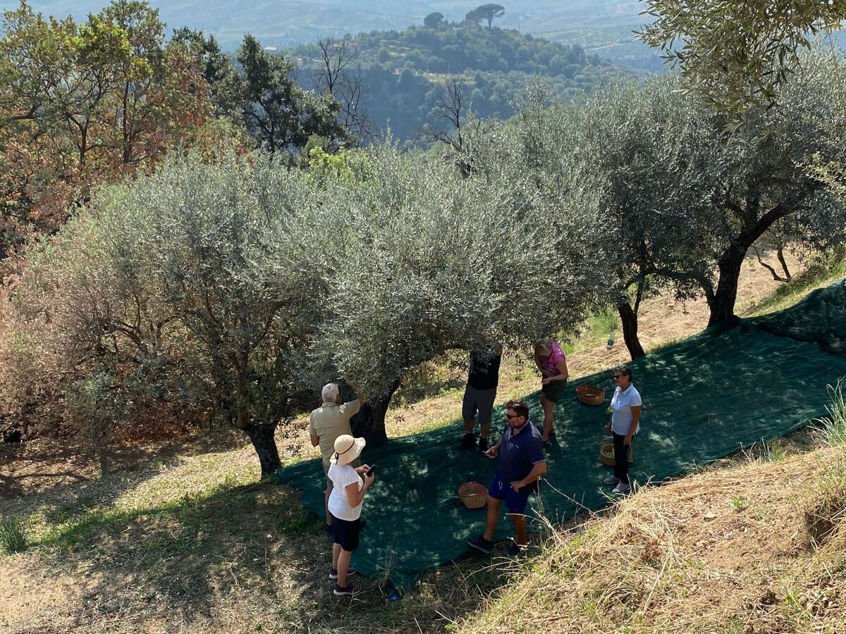 Casa Eos, suite XIXe siècle à Badolato Marina - Photo 28