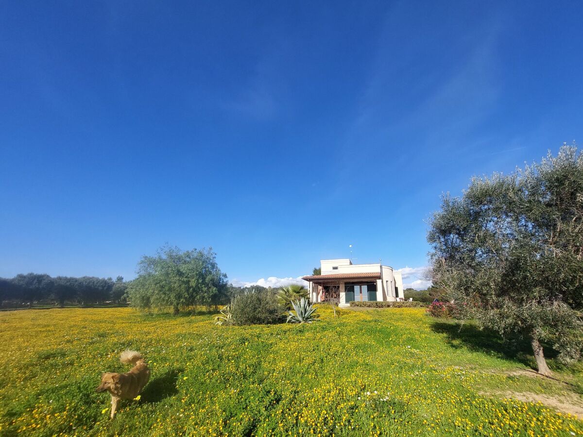 Villa Lona à Manduria : vue mer 180°, 3 chambres - Photo 34