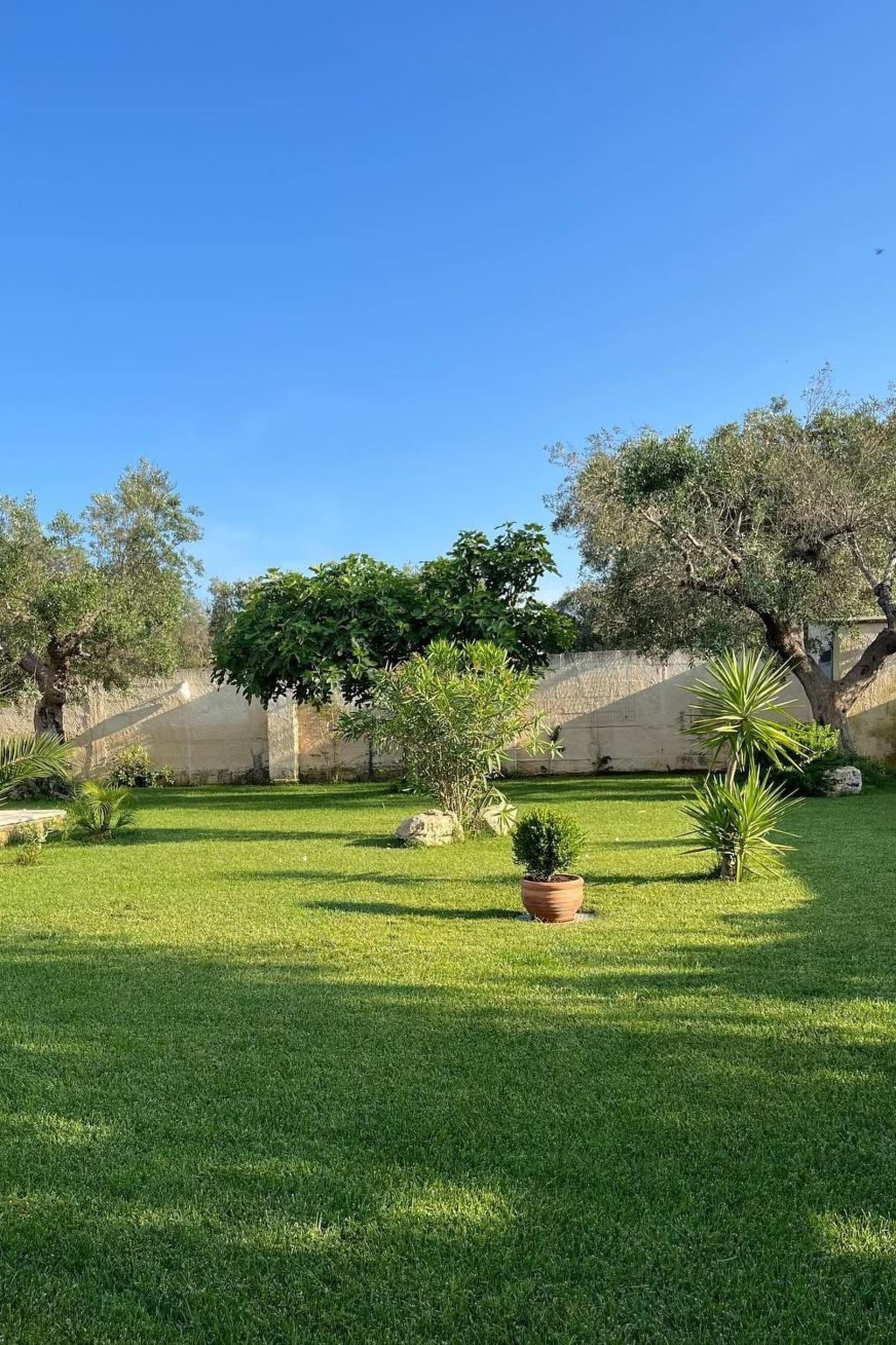 Villa Corte del Sole – Manduria, piscine privée 6 pers. - Photo 11