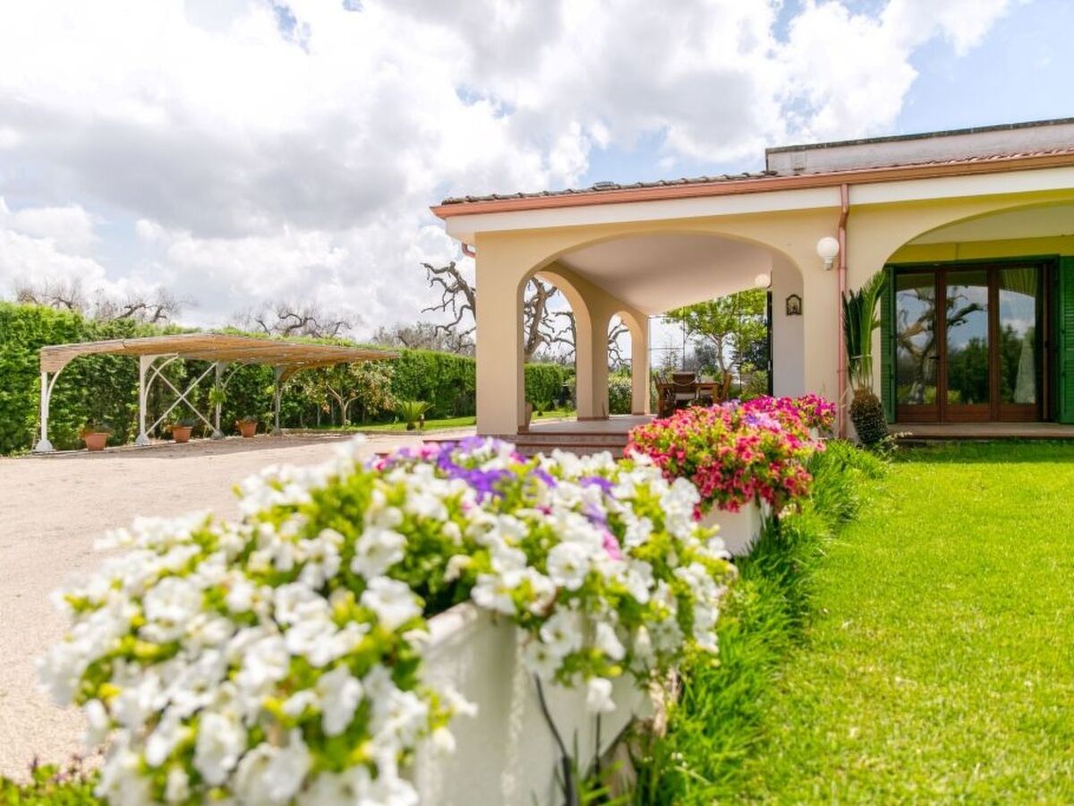 Villa 4 pers. avec piscine à Leverano - Photo 17