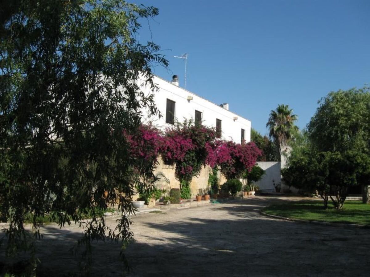 Appartement dans Masseria avec piscine à Carpignano Salentino - Photo 3