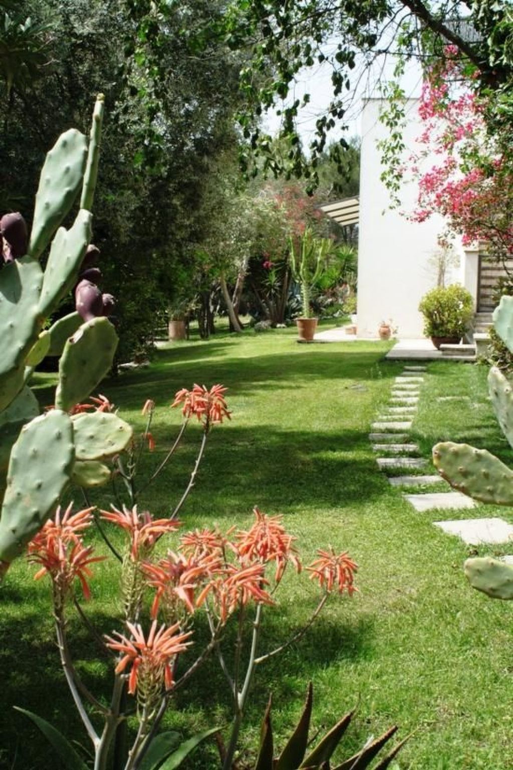 Appartement dans Masseria avec piscine à Carpignano Salentino - Photo 4