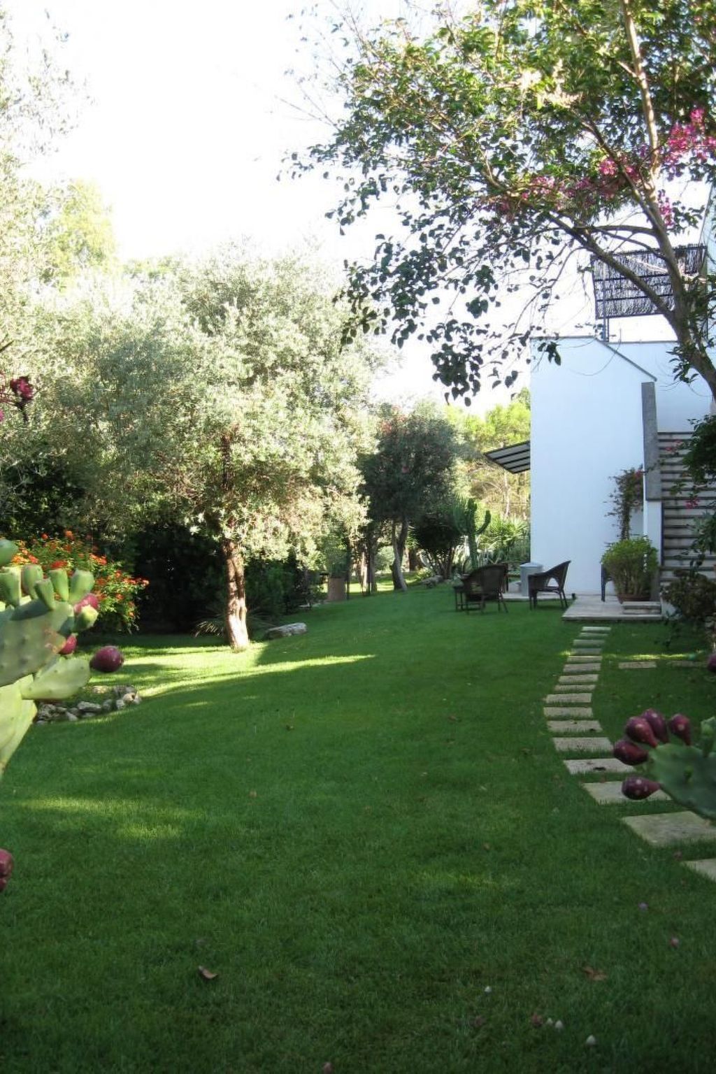 Appartement dans Masseria avec piscine à Carpignano Salentino - Photo 5
