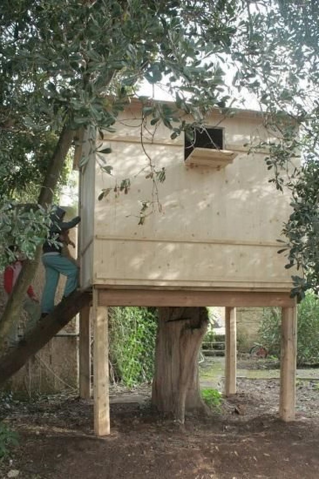 Appartement dans Masseria avec piscine à Carpignano Salentino - Photo 20