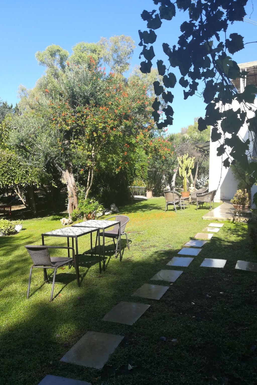 Appartement dans Masseria avec piscine à Carpignano Salentino - Photo 26