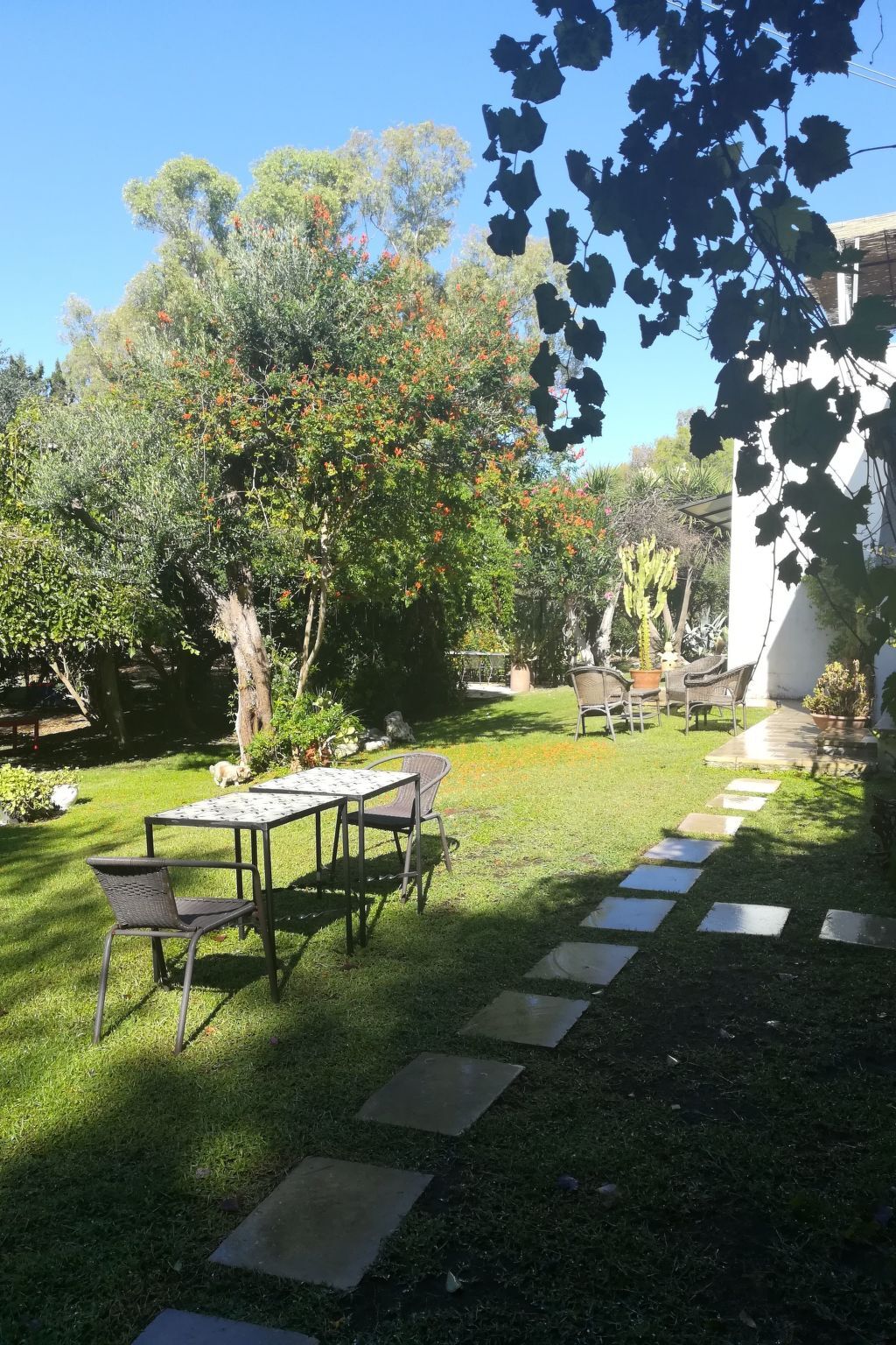 Appartement dans Masseria avec piscine à Carpignano Salentino - Photo 29