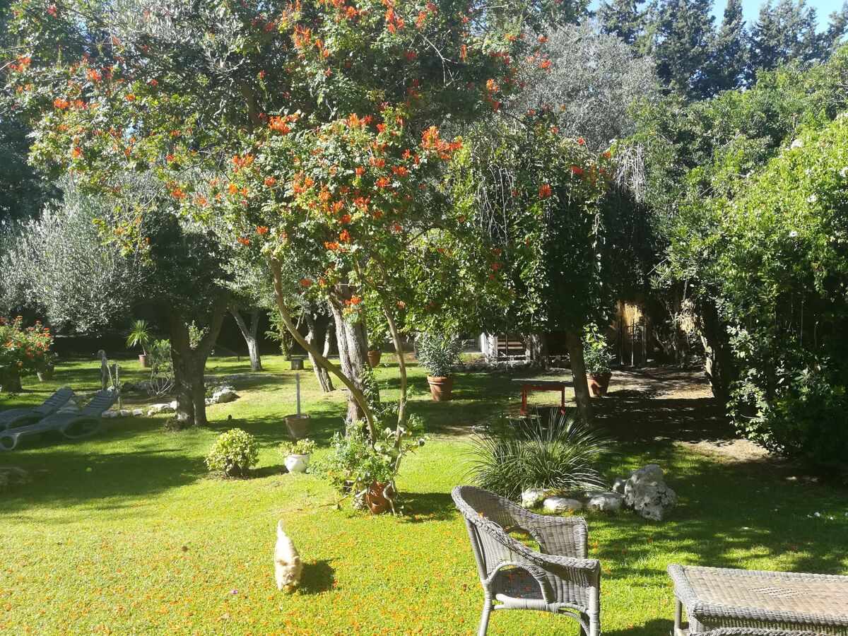 Appartement dans Masseria avec piscine à Carpignano Salentino - Photo 30