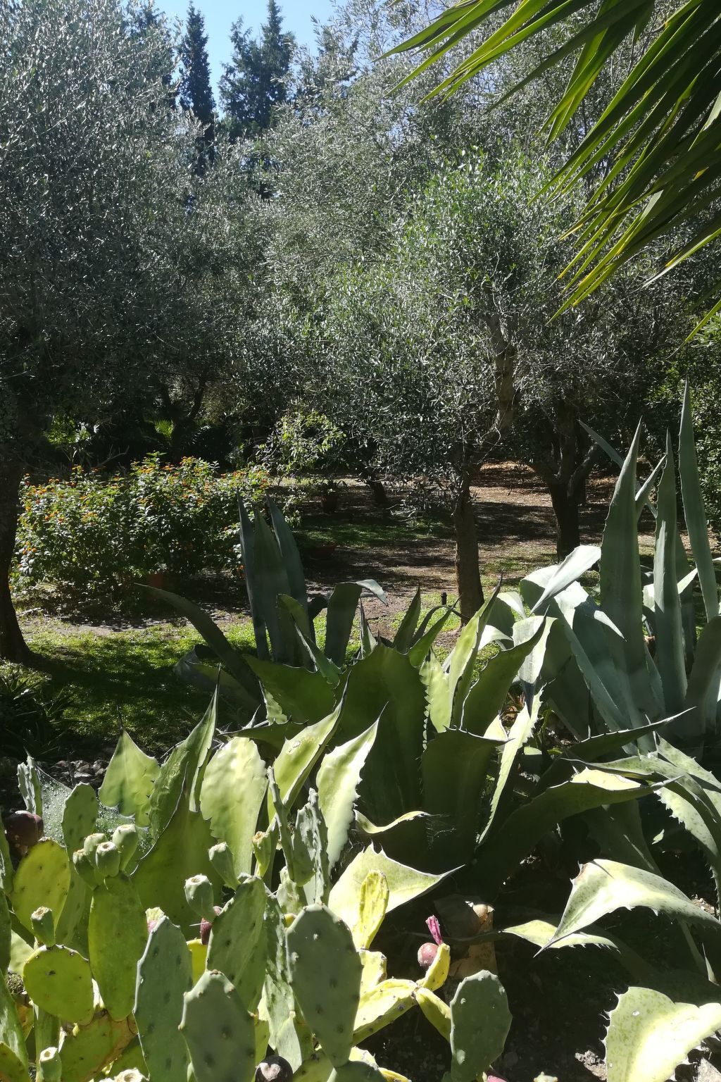 Appartement dans Masseria avec piscine à Carpignano Salentino - Photo 31