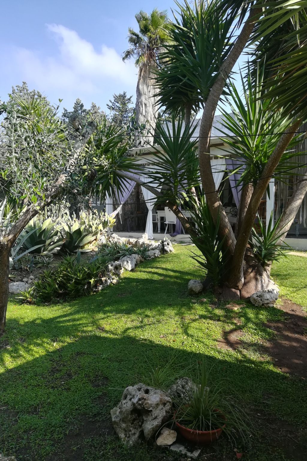 Appartement dans Masseria avec piscine à Carpignano Salentino - Photo 32