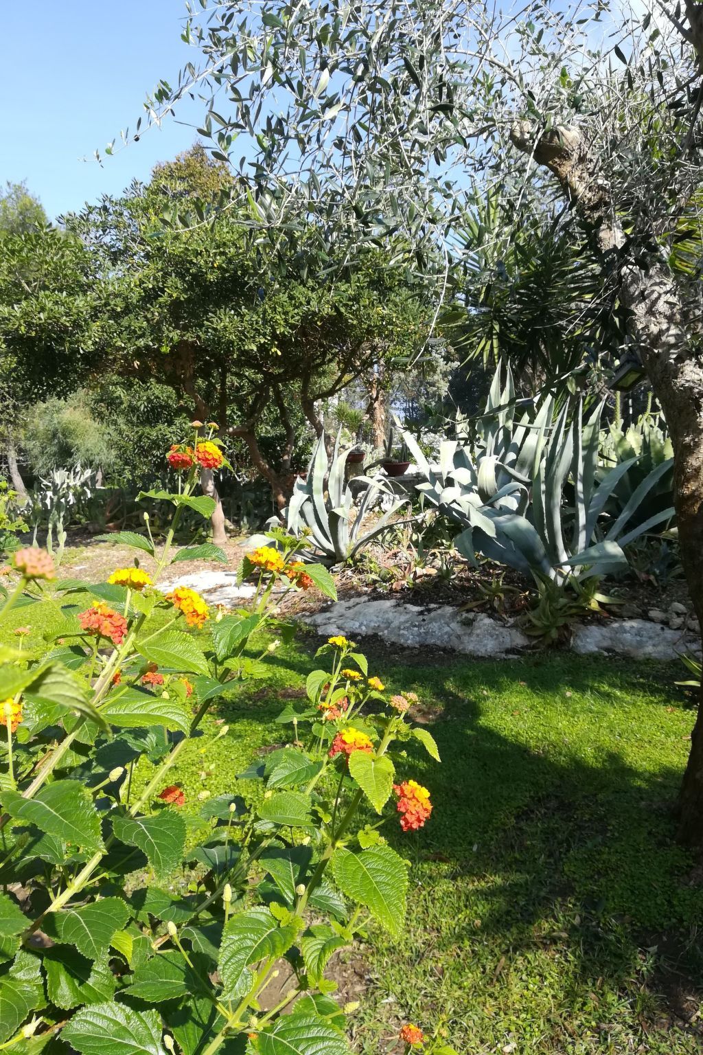 Appartement dans Masseria avec piscine à Carpignano Salentino - Photo 33