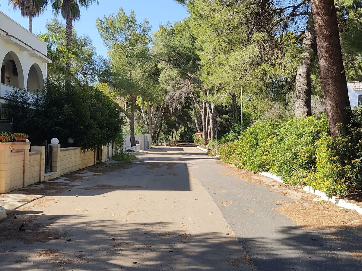 Appartement 3 chambres en forêt de pins, 1 km de la plage - Photo 26
