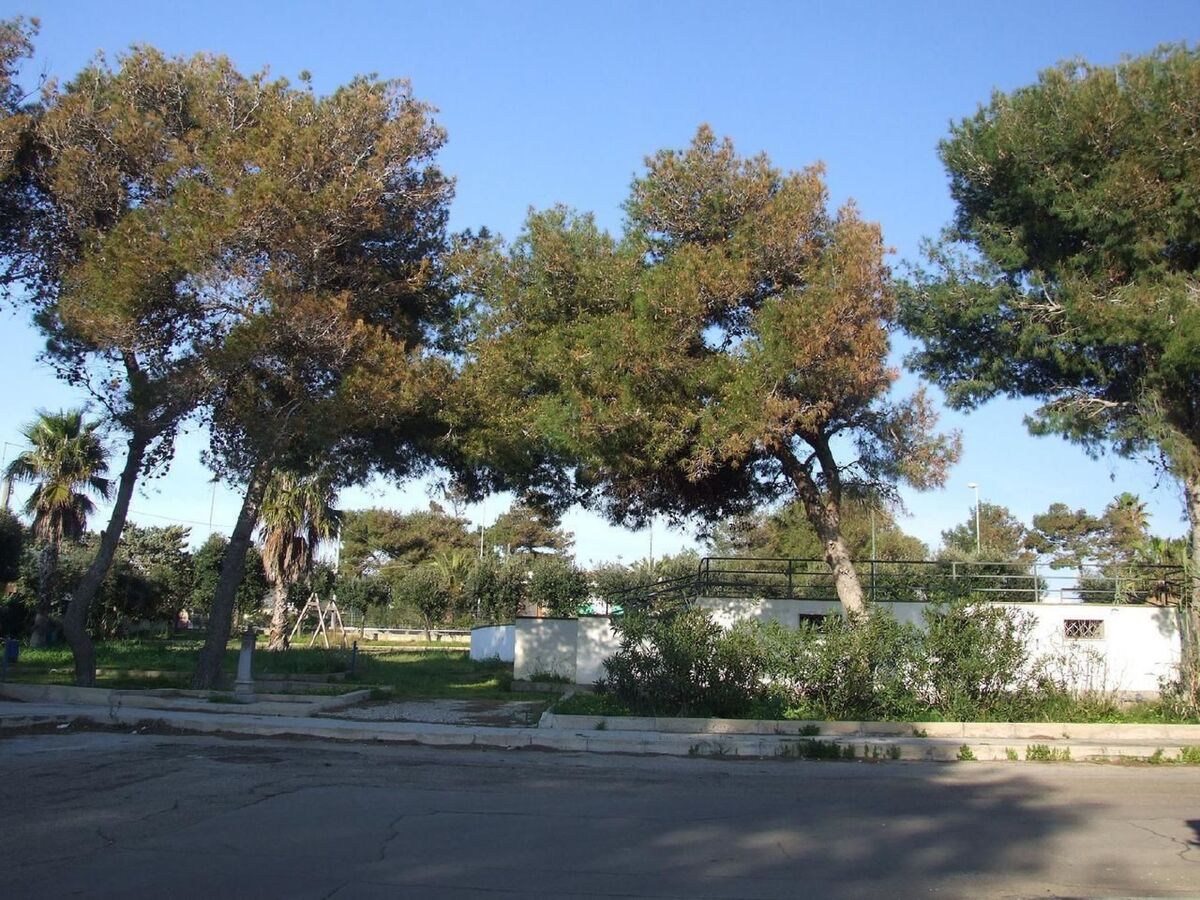 Villa Le Soleil, 50 m de la plage à Marina di Mancaversa - Photo 3