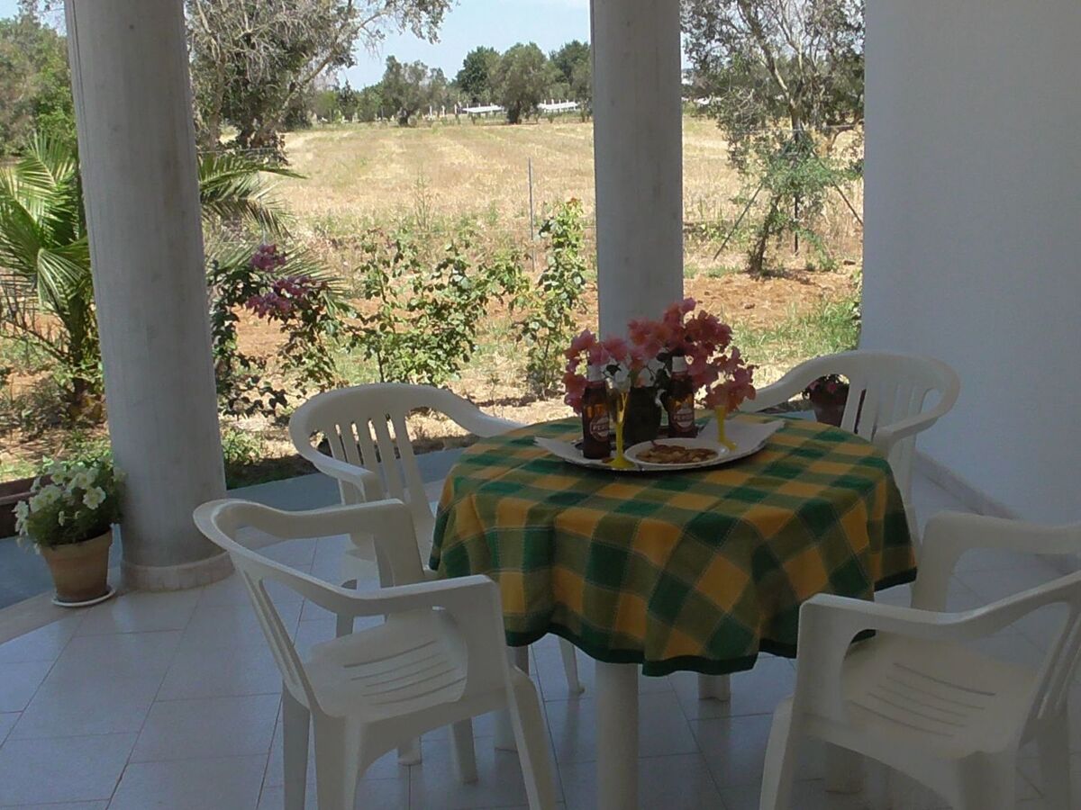 Villa 8 pers. avec grand jardin fruitier à Matino - Photo 2