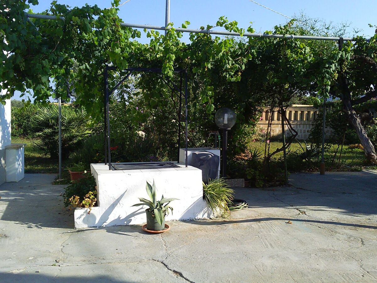 Villa 8 pers. avec grand jardin fruitier à Matino - Photo 6